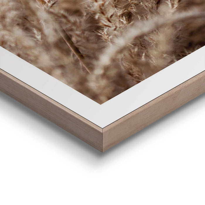 87289_13.jpg (9156682) 