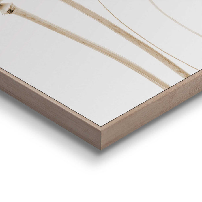 95140_13.jpg (9157027) 