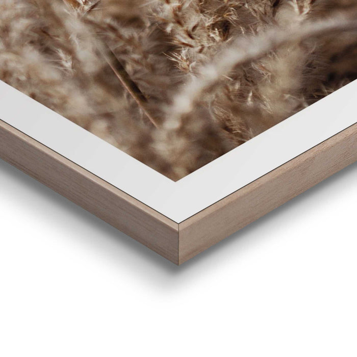 87578_13.jpg (9157062) 