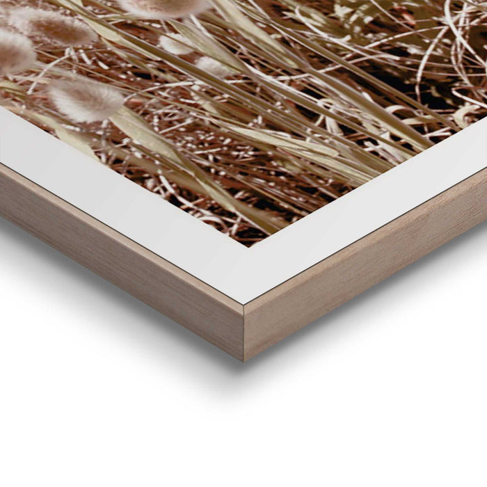 95126_13.jpg (9157119) 