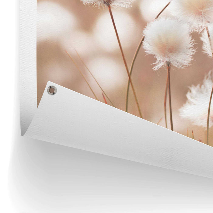 94209_10.jpg (9157179) 