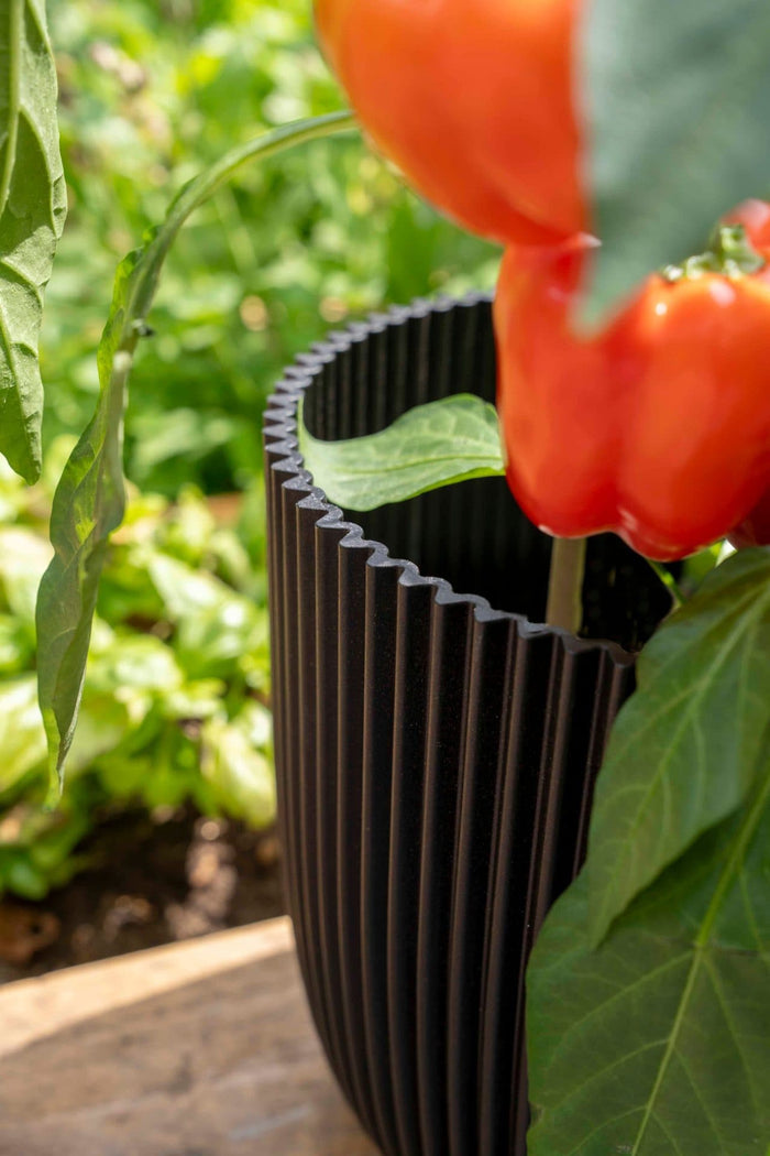 f5e02583-80da-485f-a91b-bb6c9d18dd44-afbeelding4.jpg (9158517) 