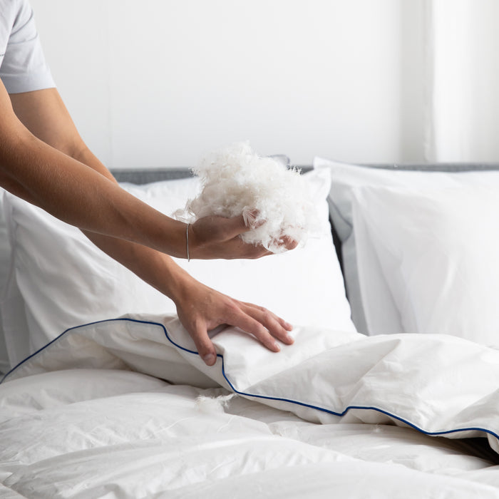 Fabiola - Zwaar Dons - Winter Dekbed - 200x200cm