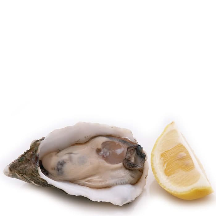 Westmark Oestermes Zwart|RVS