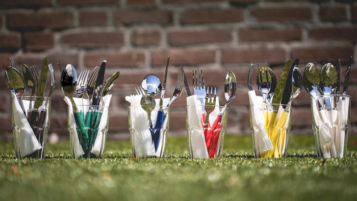 Villeroy & Boch Bestekset Play! - Red Roses - 24 delig | 6 personen