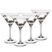 OTIX Martini Glazen Transparant 4 Stuks 300 ml Cocktail Set TINI