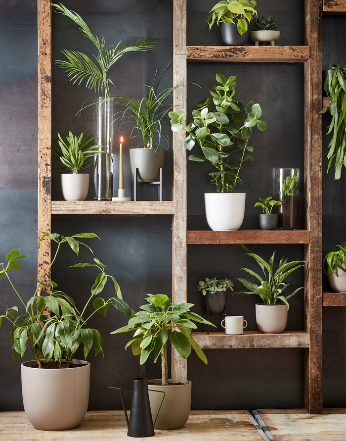 ff9de497-aed6-4635-ab35-c5a29b0d1ea7-sfeerbeeld.jpg (9187291) 