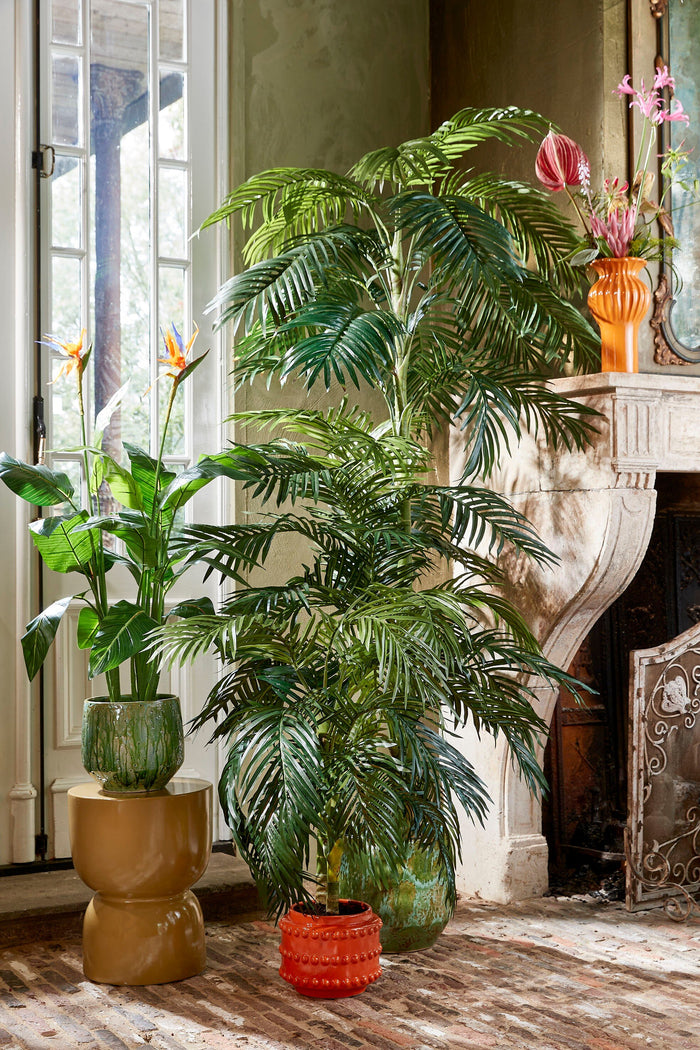 5cc47db0-732c-4236-b177-265bccbc8924-afbeelding8.jpg (9187567) 