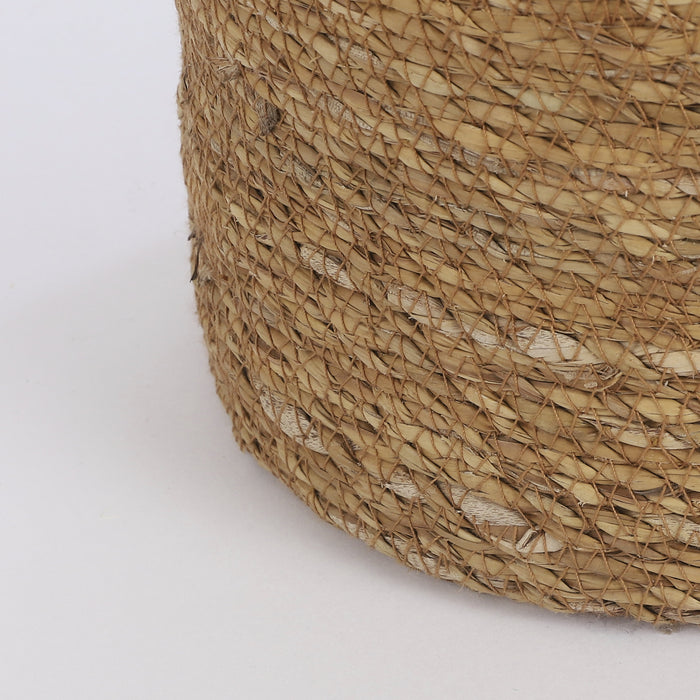 33ea7377-756b-4efb-99ca-4db764e32a87-afbeelding3.jpg (9187885) 