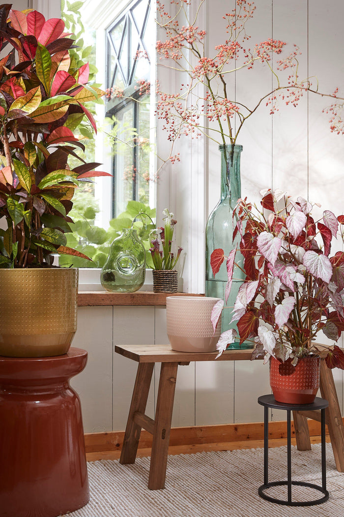 Mica Decorations Rioja Glazen Fles - H75 x Ø18 cm - Transparant