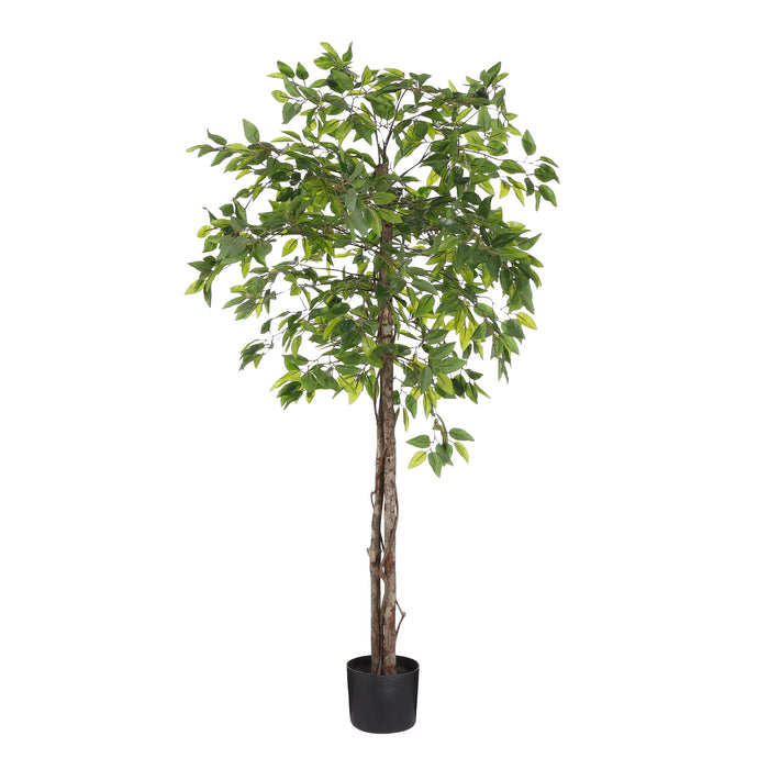 Mica Decorations Ficus Kunstplant - H150 x Ø50 cm - Groen