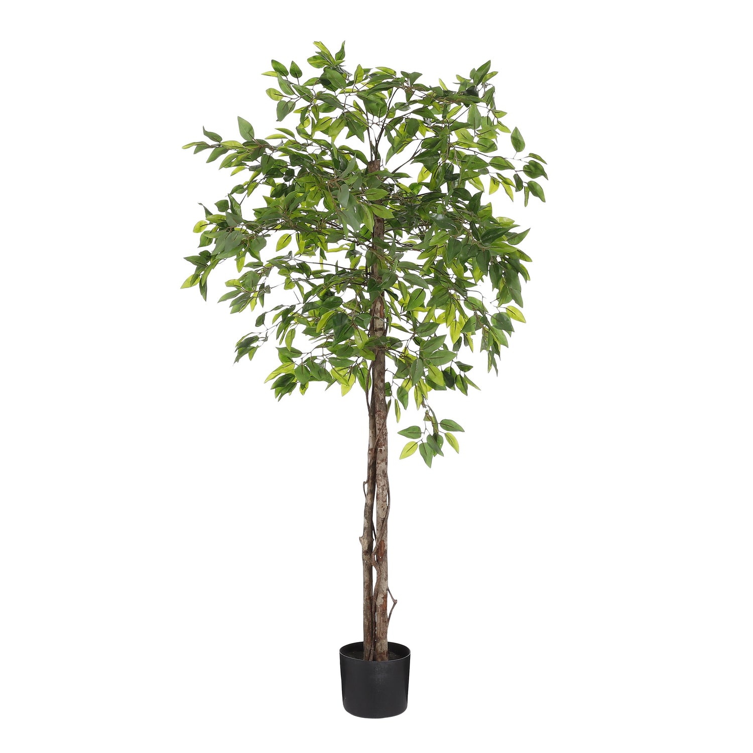 Mica Decorations Ficus Kunstplant - H150 x Ø50 cm - Groen