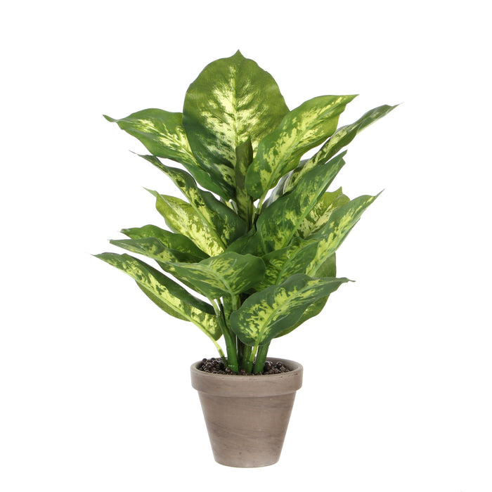 Mica Decorations Dieffenbachia Kunstplant - H40 x Ø30 cm - Groen