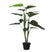 Mica Decorations Philodendron Kunstplant - H100x Ø70 cm - Groen
