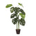 Mica Decorations Monstera Kunstplant - H100 x Ø50 cm - Groen