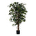 Mica Decorations Ficus Kunstplant - H150 x Ø85 cm - Groen