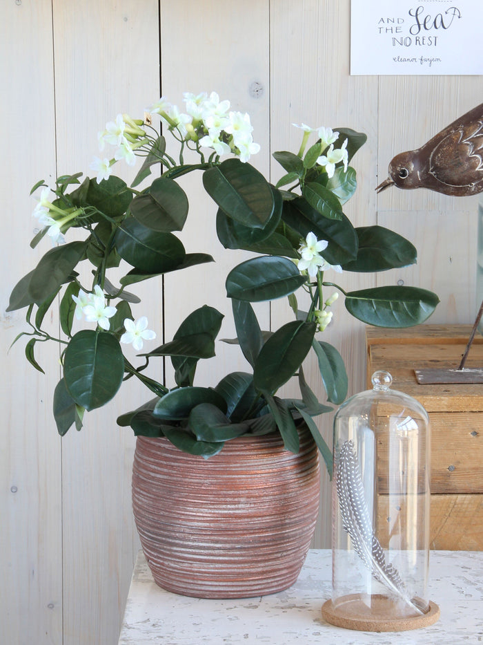 Mica Decorations Stephanotis Kunstplant - H50 x Ø40 cm - Wit