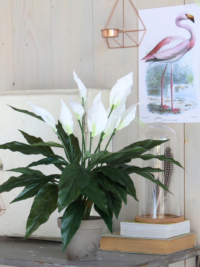 Mica Decorations Spathiphyllum Kunstplant - H50 x Ø40 cm - Wit