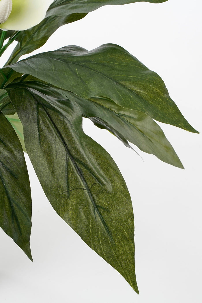 Mica Decorations Spathiphyllum Kunstplant - H50 x Ø40 cm - Wit