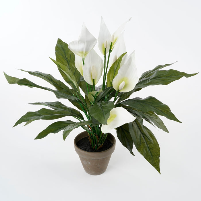 Mica Decorations Spathiphyllum Kunstplant - H50 x Ø40 cm - Wit