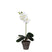 Mica Decorations Phalaenopsis Kunstplant - H48 x Ø13 cm - Wit