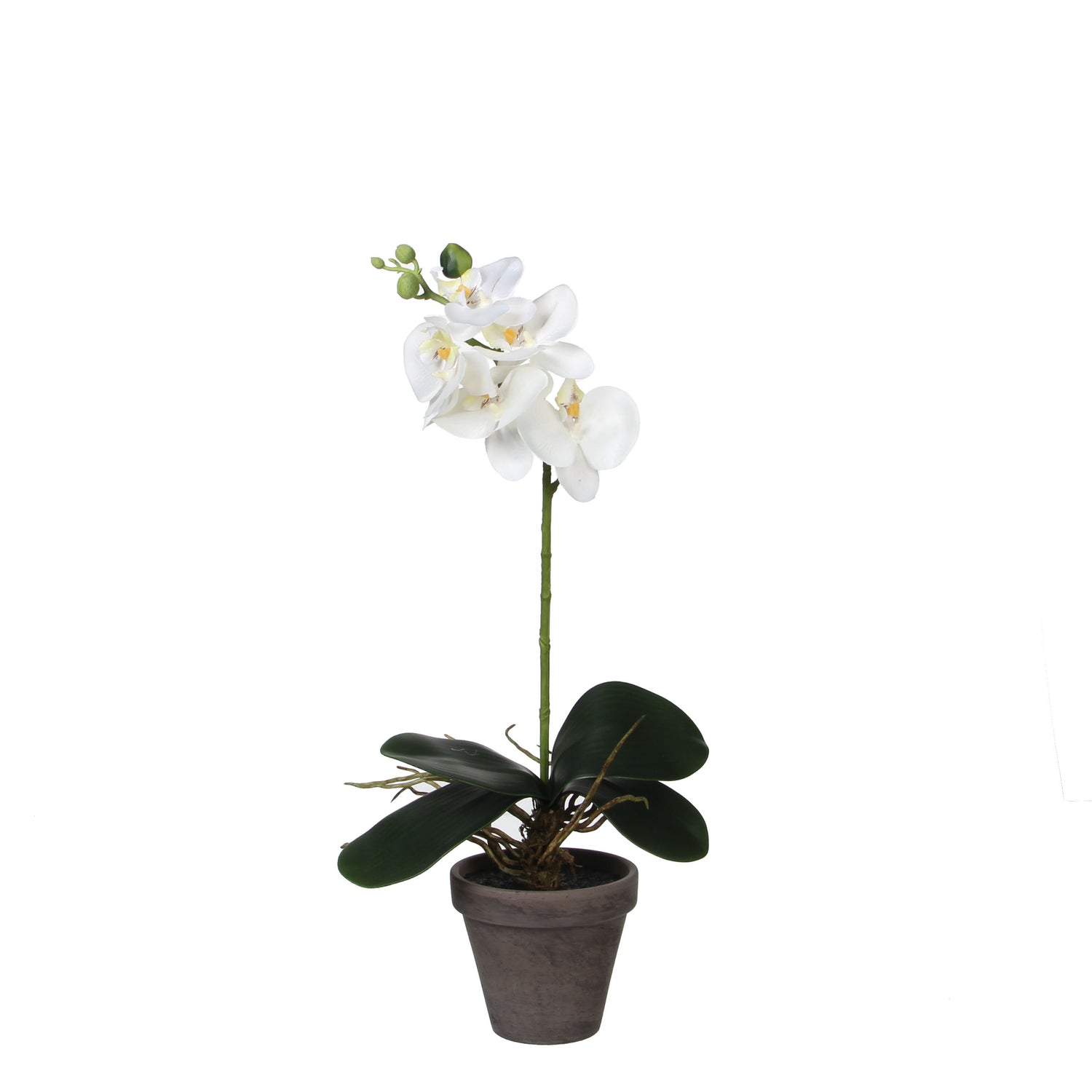 Mica Decorations Phalaenopsis Kunstplant - H48 x Ø13 cm - Wit