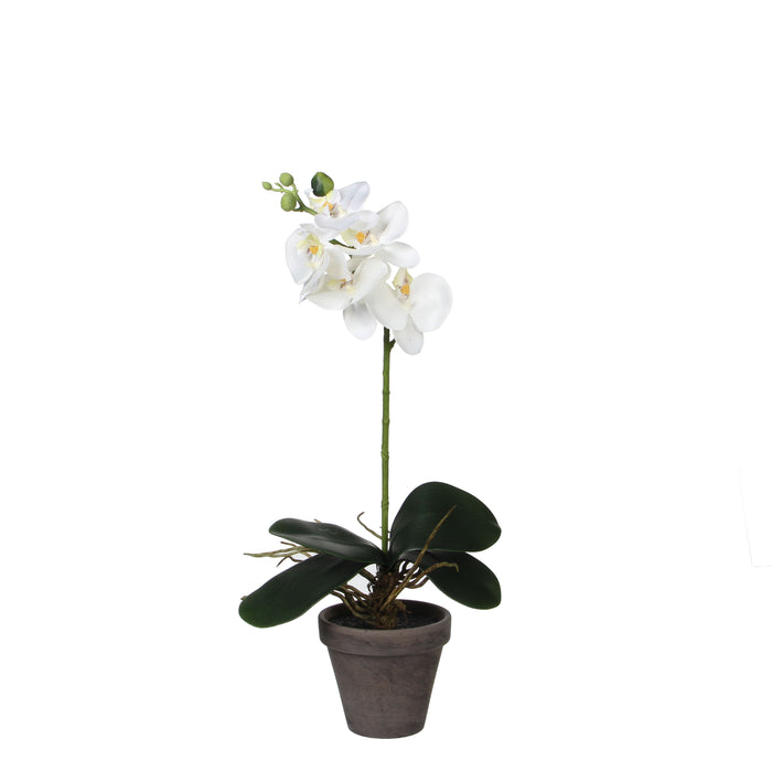 Mica Decorations Phalaenopsis Kunstplant - H48 x Ø13 cm - Wit