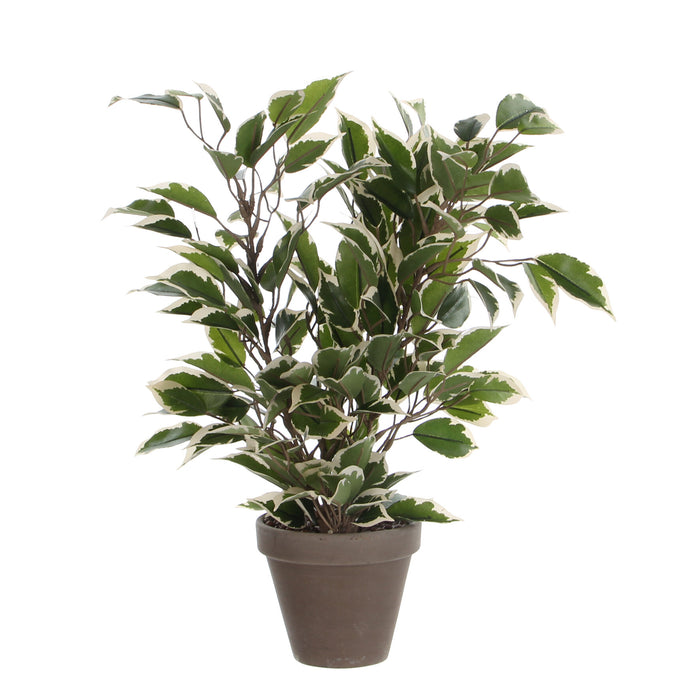Mica Decorations Ficus Natasja Kunstplant - H40 cm - Groen Bont