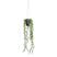 Mica Decorations Senecio Kunst Hangplant in Pot - H68 x Ø9 cm - Groen