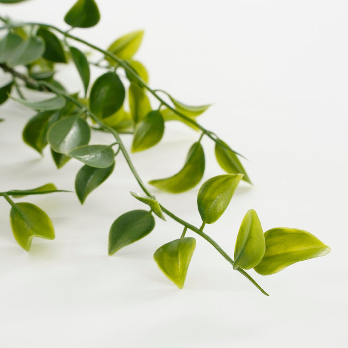 Mica Decorations Ficus Kunst Hangplant - H81 cm - Groen