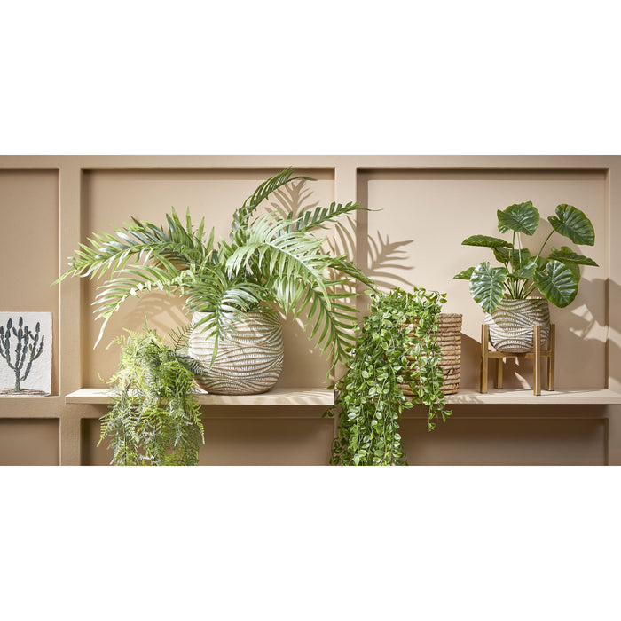 Mica Decorations Ficus Kunst Hangplant - H81 cm - Groen