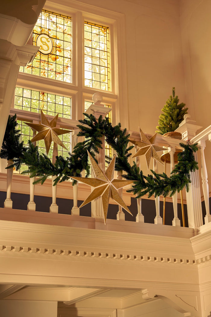 Triumph Tree Abies Nordmann Guirlande - L270 cm - Groen