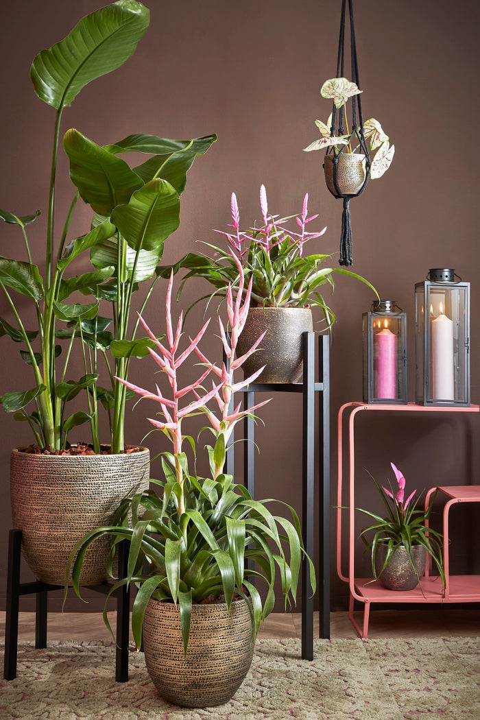 Mica Decorations Arzilla Lantaarn - L13,5 x B13 x H34,5 cm - Zwart