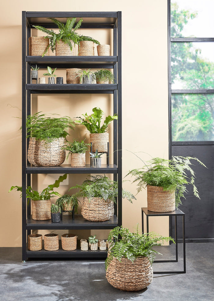 fe585061-b122-4532-8110-48fb5900fa64-sfeerbeeld.jpg (9190631) 