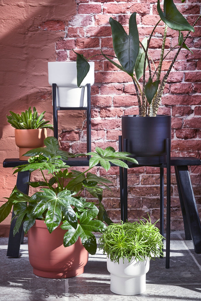 f9cb8e08-afee-4cb4-a75c-793450fff58c-afbeelding8.jpg (9190746) 