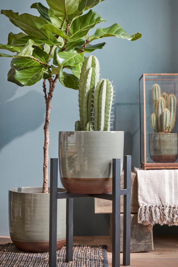 f9cb8e08-afee-4cb4-a75c-793450fff58c-afbeelding9.jpg (9190747) 