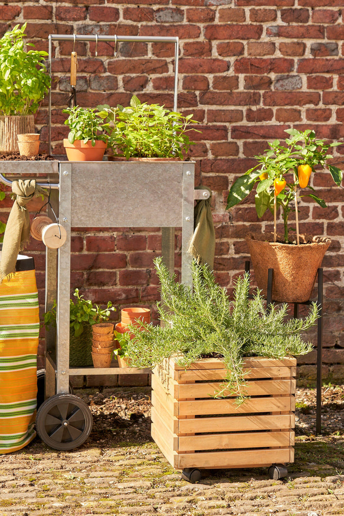 Mica Decorations Glenwood Plantenbak voor Buiten - Acaciahout - Bruin