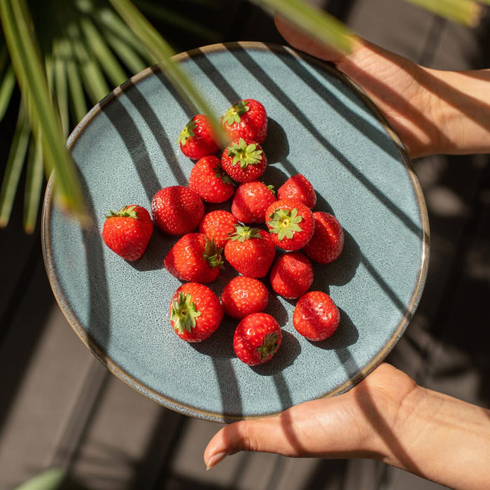 Villeroy & Boch Ontbijtbord | Dessertbord Lave - ø 23 cm - Glace