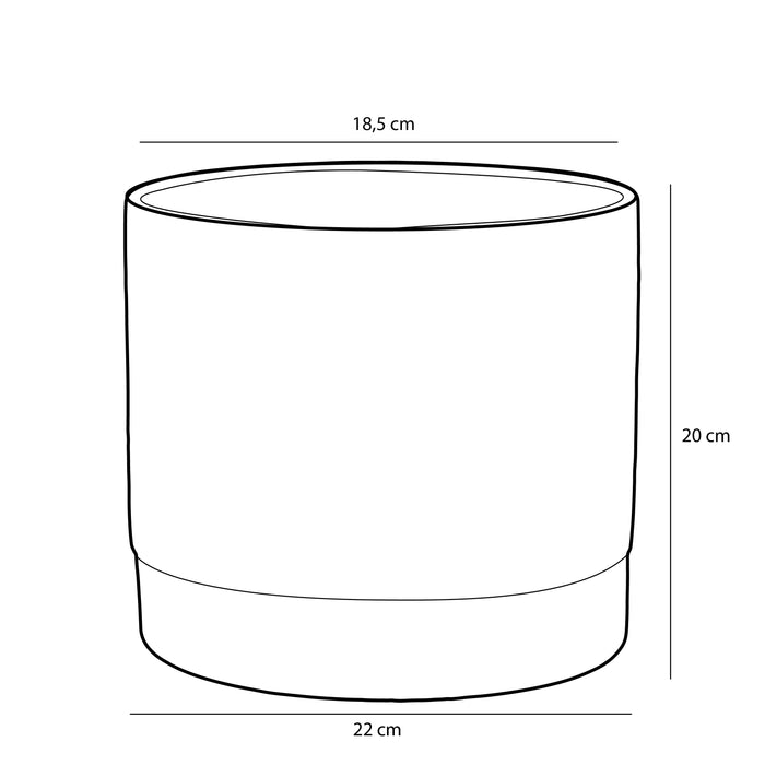 2ae0ec8f-e610-48e8-b3ae-57ce81a8110c-afbeelding10.jpg (9196137) 