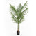 present time - Artificial Plant Kwai Tree
