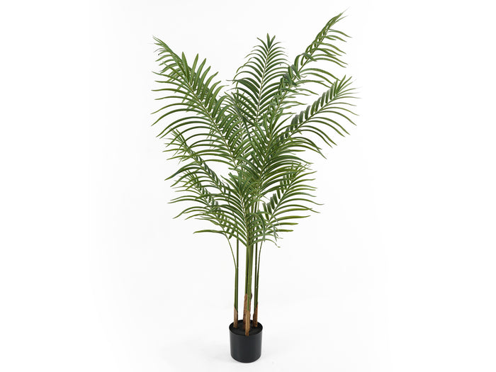 present time - Artificial Plant Kwai Tree