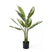 present time - Artificial Plant Calathea