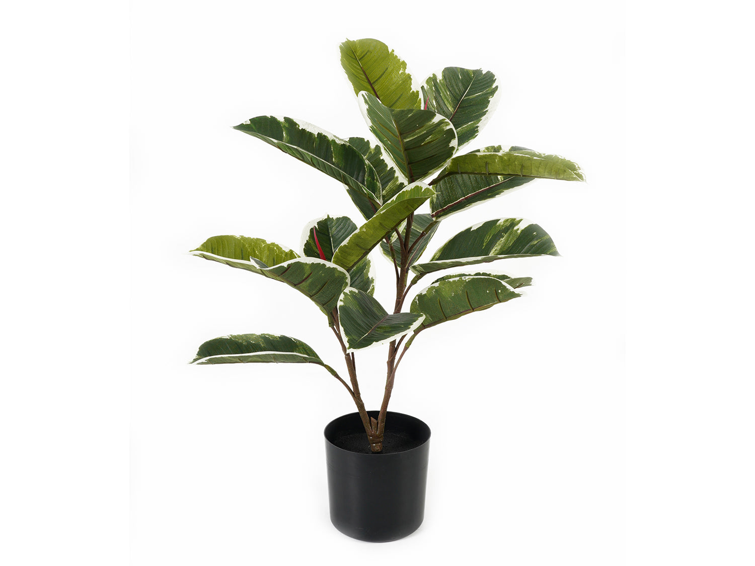 present time - Artificial Plant Oak Leaf
