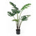 present time - Artificial Plant Monstera