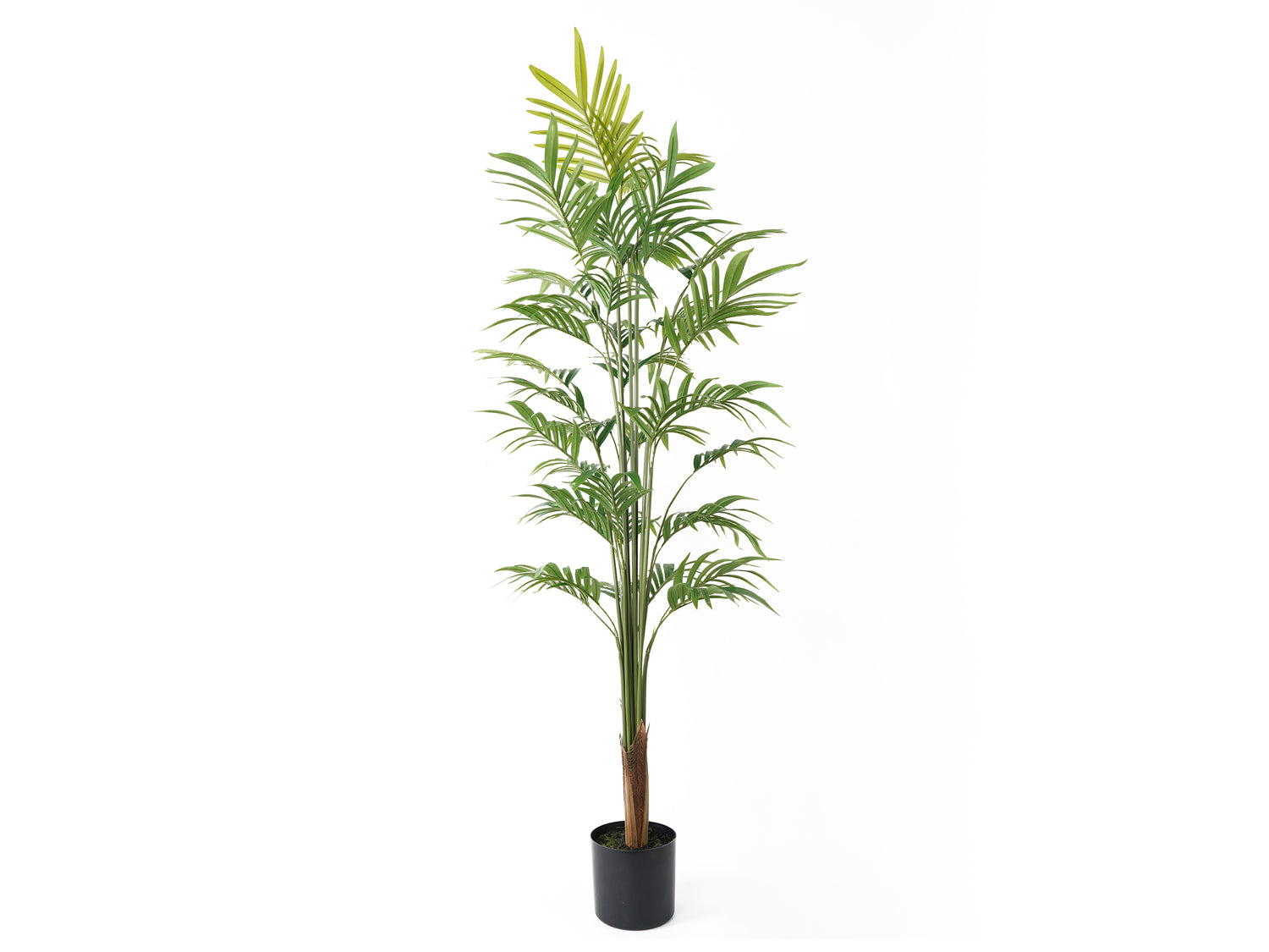 present time - Artificial Plant Gold Palm Tree Large