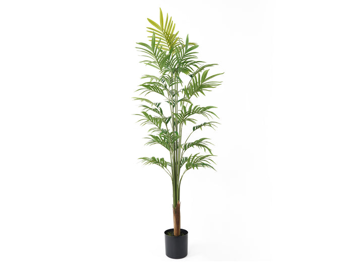 present time - Artificial Plant Gold Palm Tree Large