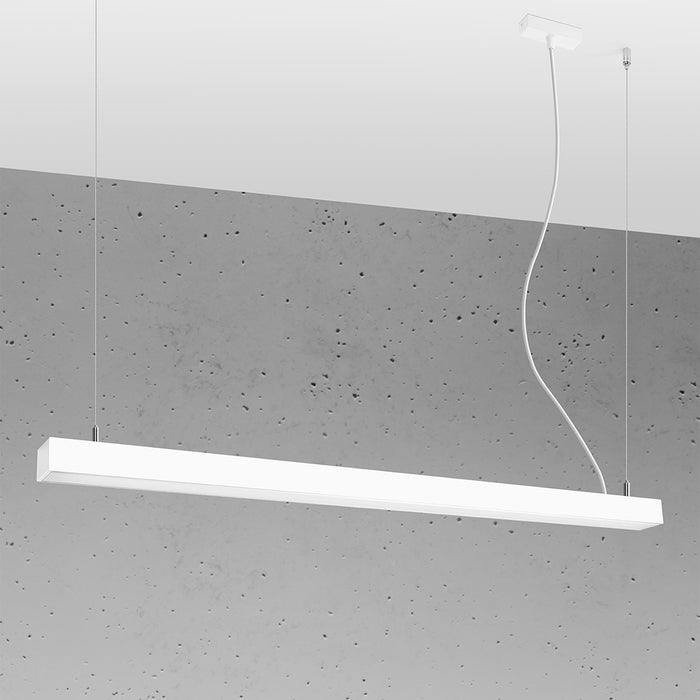 d76e8be5-97a1-477d-a84e-ebd4cc93d27d-afbeelding3.jpg (9207359) 