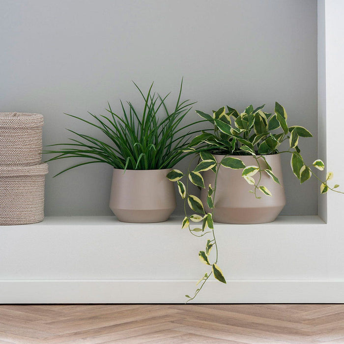 68d2f100-c3cb-4a16-84ab-6ee7747c6c66-afbeelding3.jpg (9221859) 