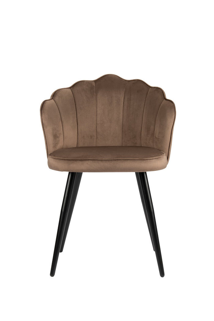 51c22ed6-dd86-4b2a-a6ea-aeab2cf6891e-afbeelding3.jpg (9225342) 