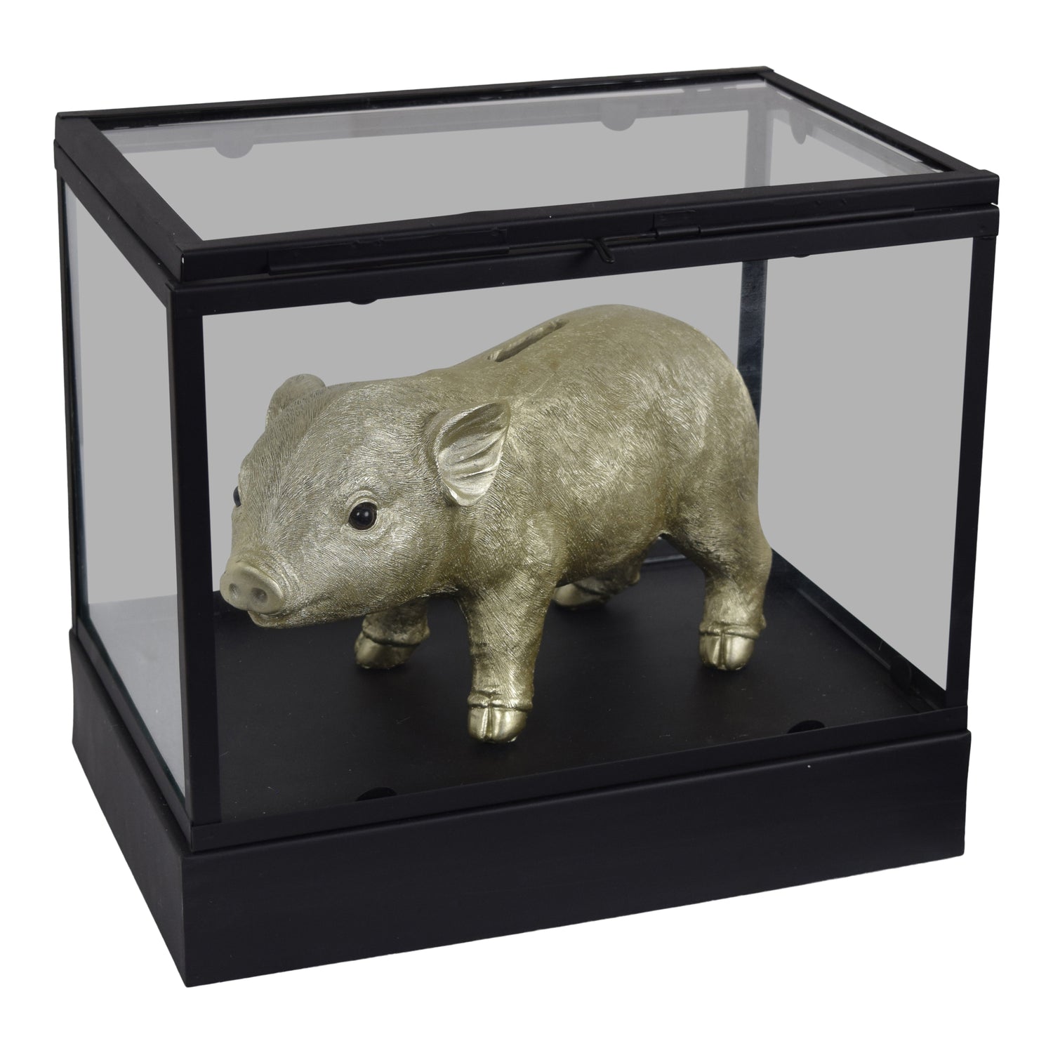 LOFT42 Showy Glazen Display Box Zwart - Metaal - (27x30x20)